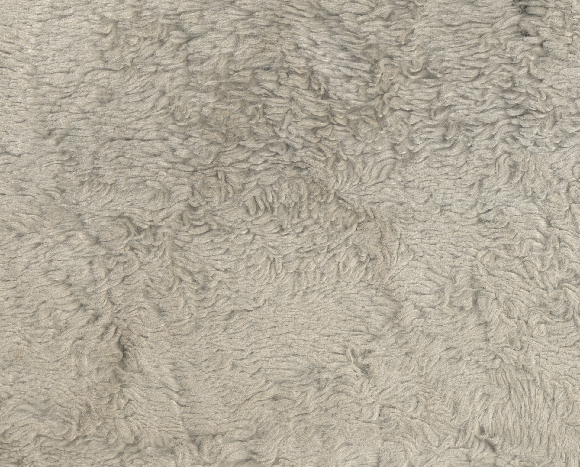 The Advantages Of Wall To Carpeting Tiftickjian Sons If You Are Thinking About Making Some Changes In Your Home But Overwhelmed By All The Options Try Looking At Wall To Carpeting