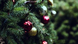Cleaning Pine Needles Off Your Floor