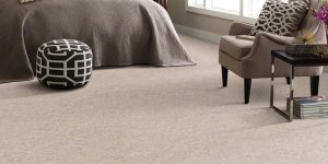 Professional Carpet Installation