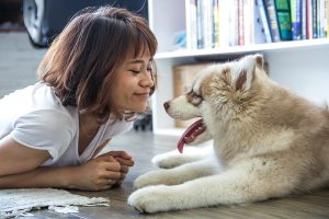 Luxury Vinyl Flooring And Dogs