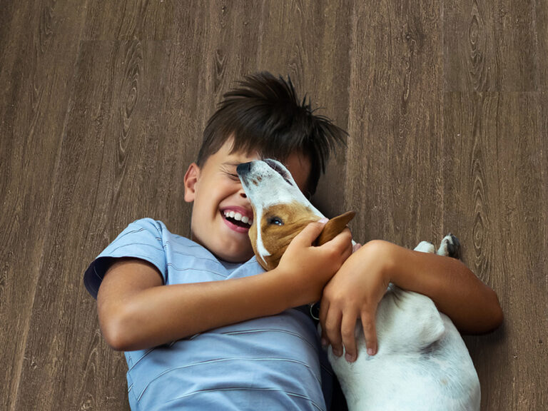 Read more about the article Child and Pet Friendly Flooring